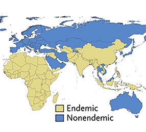 Global Burden of Rheumatic Heart Disease Global Burden of Rheumatic Heart Disease