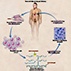 Gene Therapy Meets Stem Cells